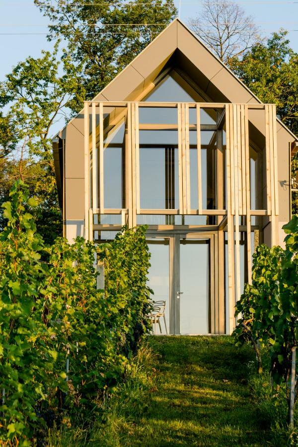 Вілла Weinlofts Weinloft II Eisenberg an der Pinka Екстер'єр фото